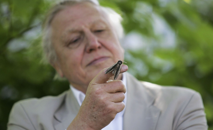 david attenborough