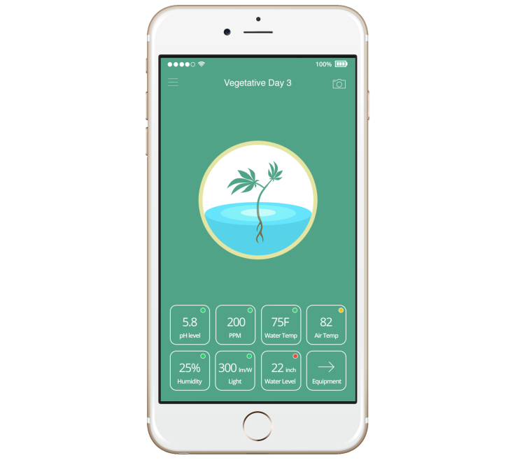 Leaf app mockup