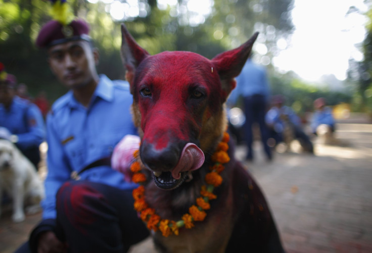 Tihar Festival