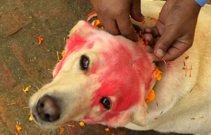 Tihar Festival