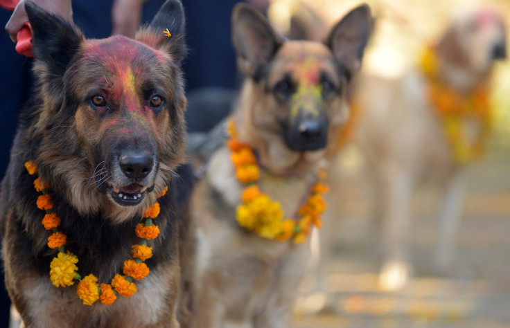 Tihar Festival