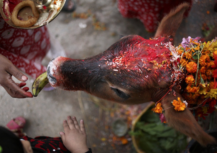 Tihar Festival