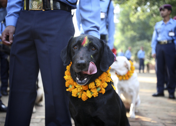 Tihar Festival