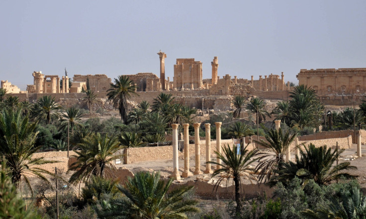 palmyra (2)