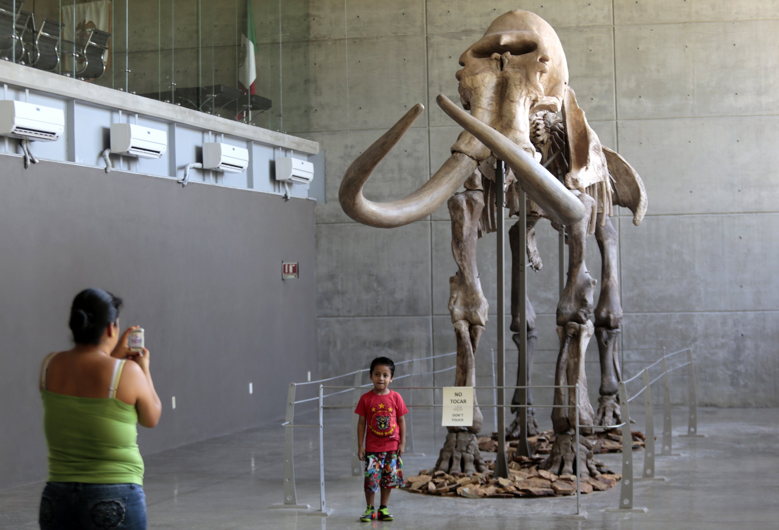 Genome Sequencing Reveal How Woolly Mammoth Survived Extreme Cold | IBTimes