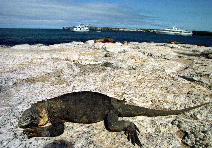 galapagos