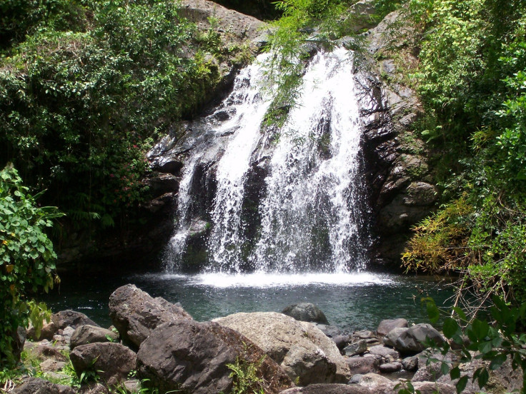 Silver Hill Falls