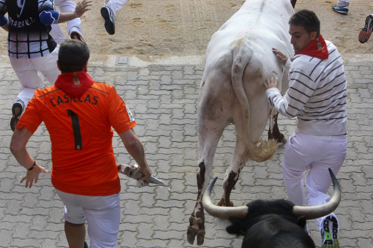 Running of the Bulls