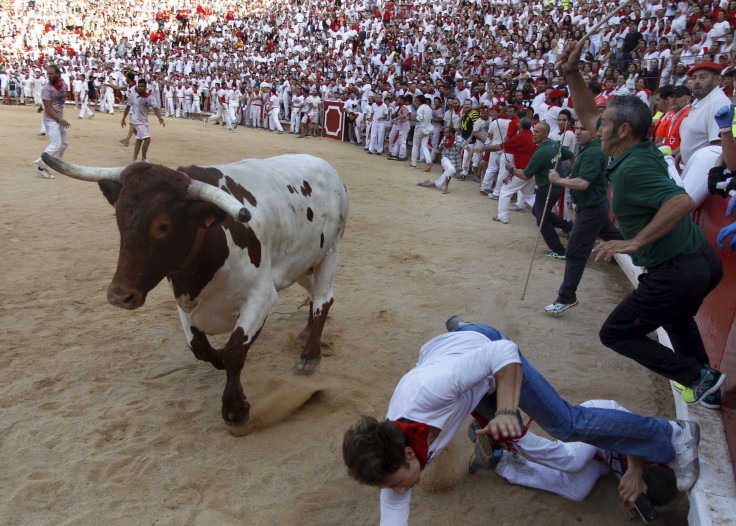 Running Bulls