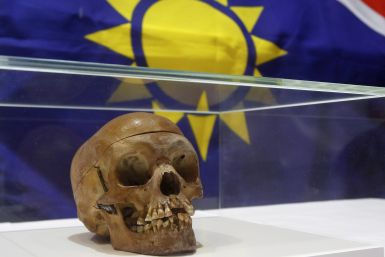 namibia skull