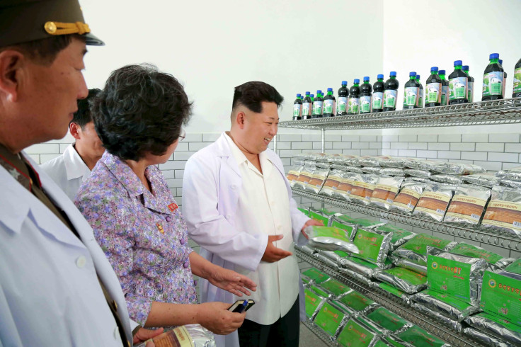 North Korea factory