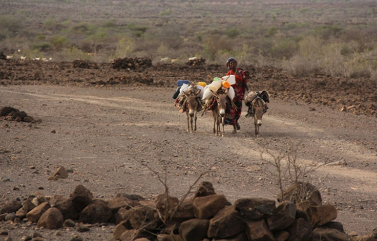 Djibouti drought