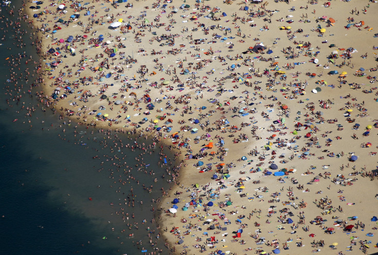 Fecal Matter On Beaches