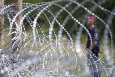 Hungary border fence