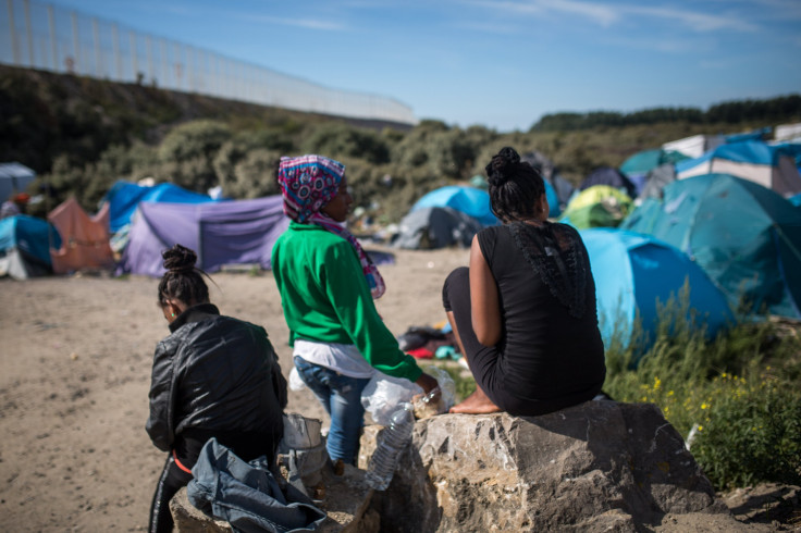 Calais migrants