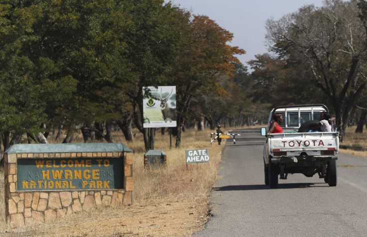 Zimbabwe Hwange Park killed lion