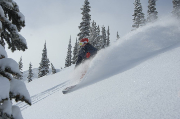Susie_Baldface_DaveThomas_027