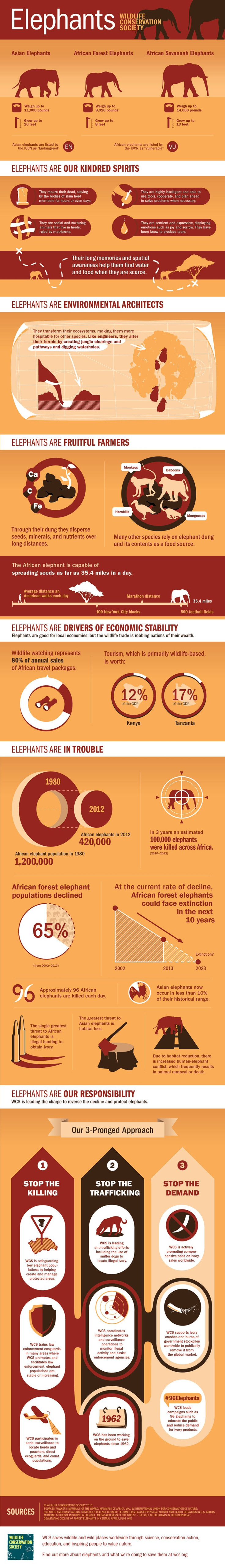 World Elephant Day 2015 Infographic