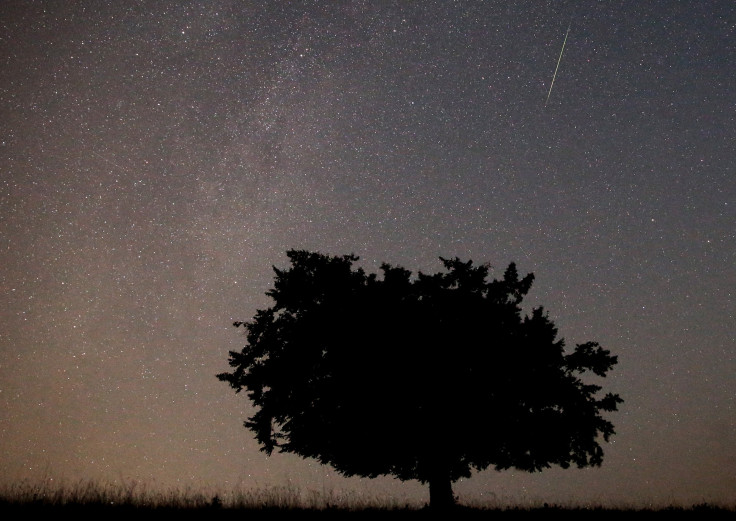 Perseid Meteor Shower Photos