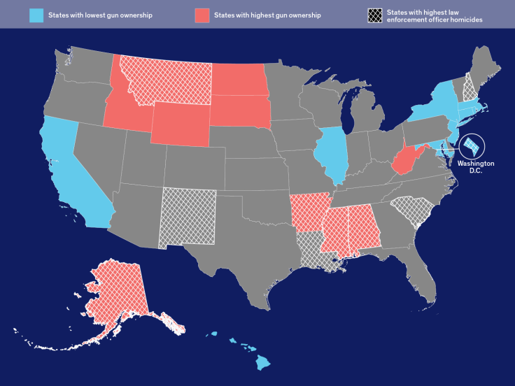 gun ownership