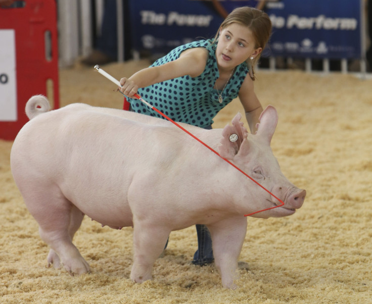 Iowa State Fair 2014