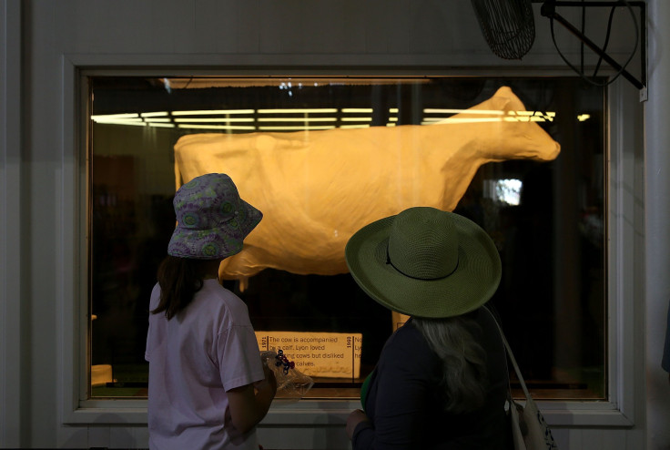 Iowa State Fair Butter Cow