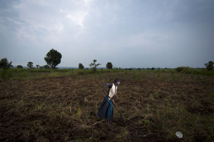 Uganda farm