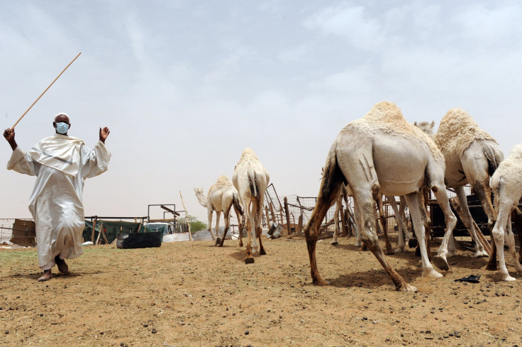 Saudi Arabia MERS outbreak