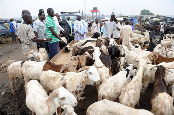 Nigerian cattle market, Ogun state