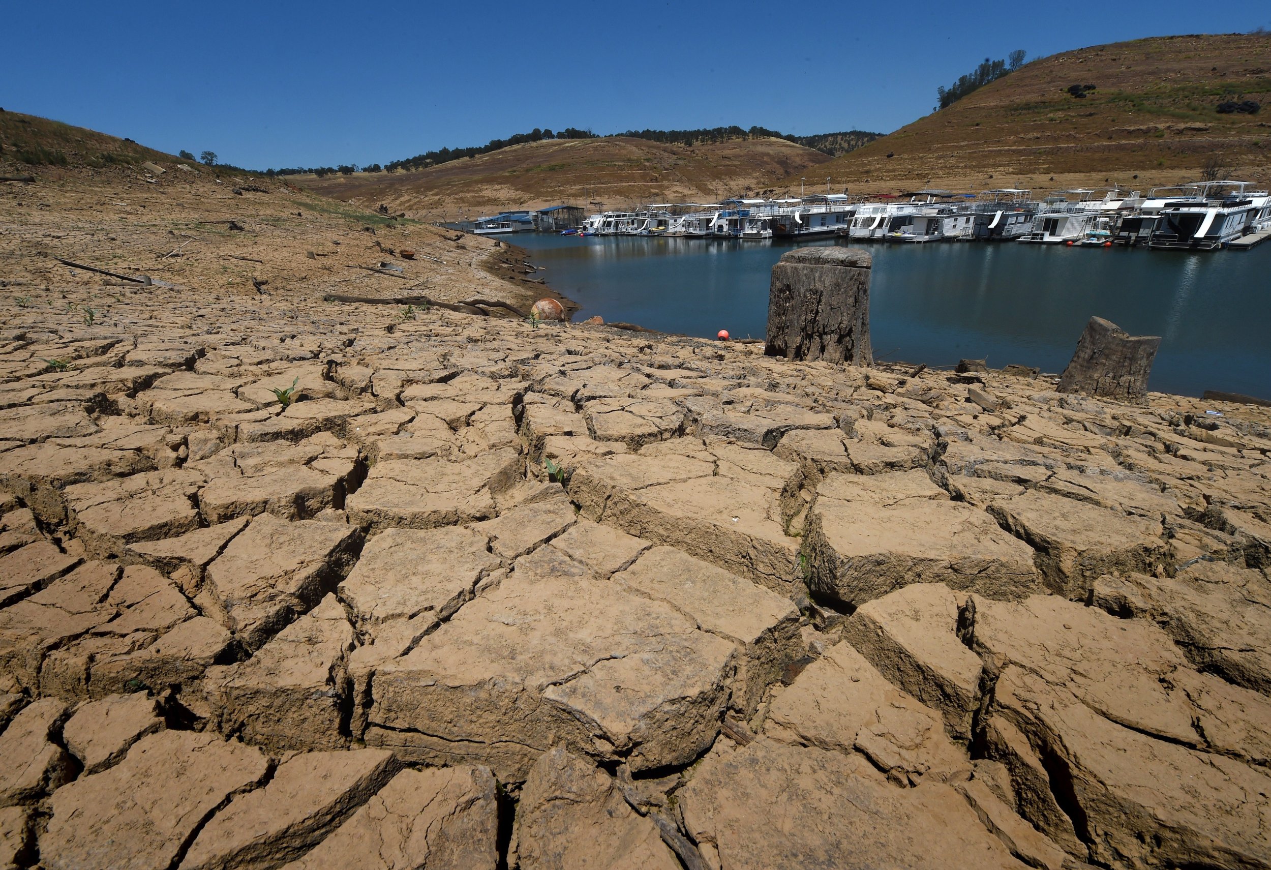 california drought 2015 case study