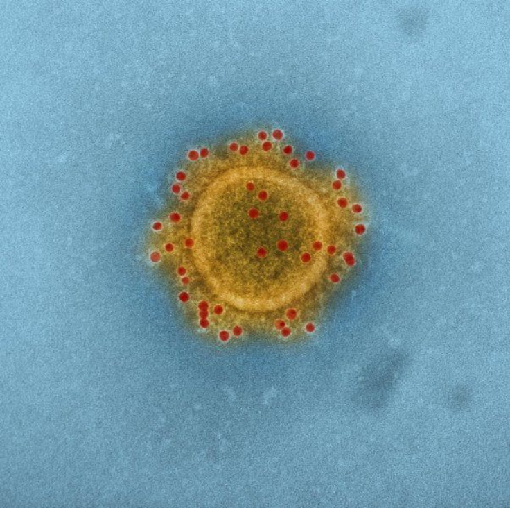 mers cell