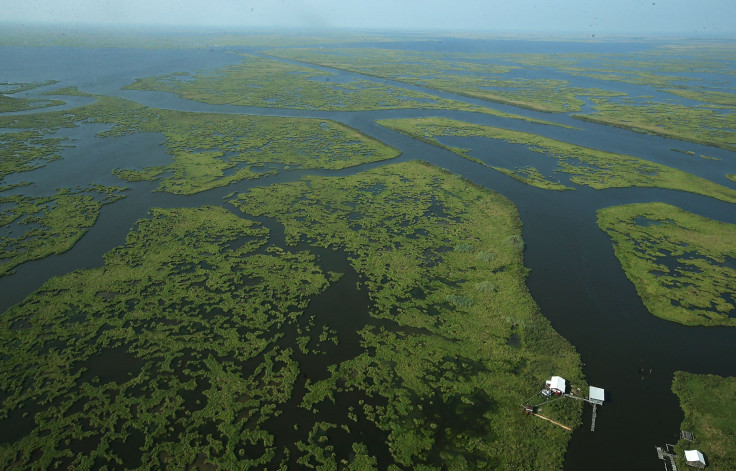 Katrina Louisiana Wetland Loss