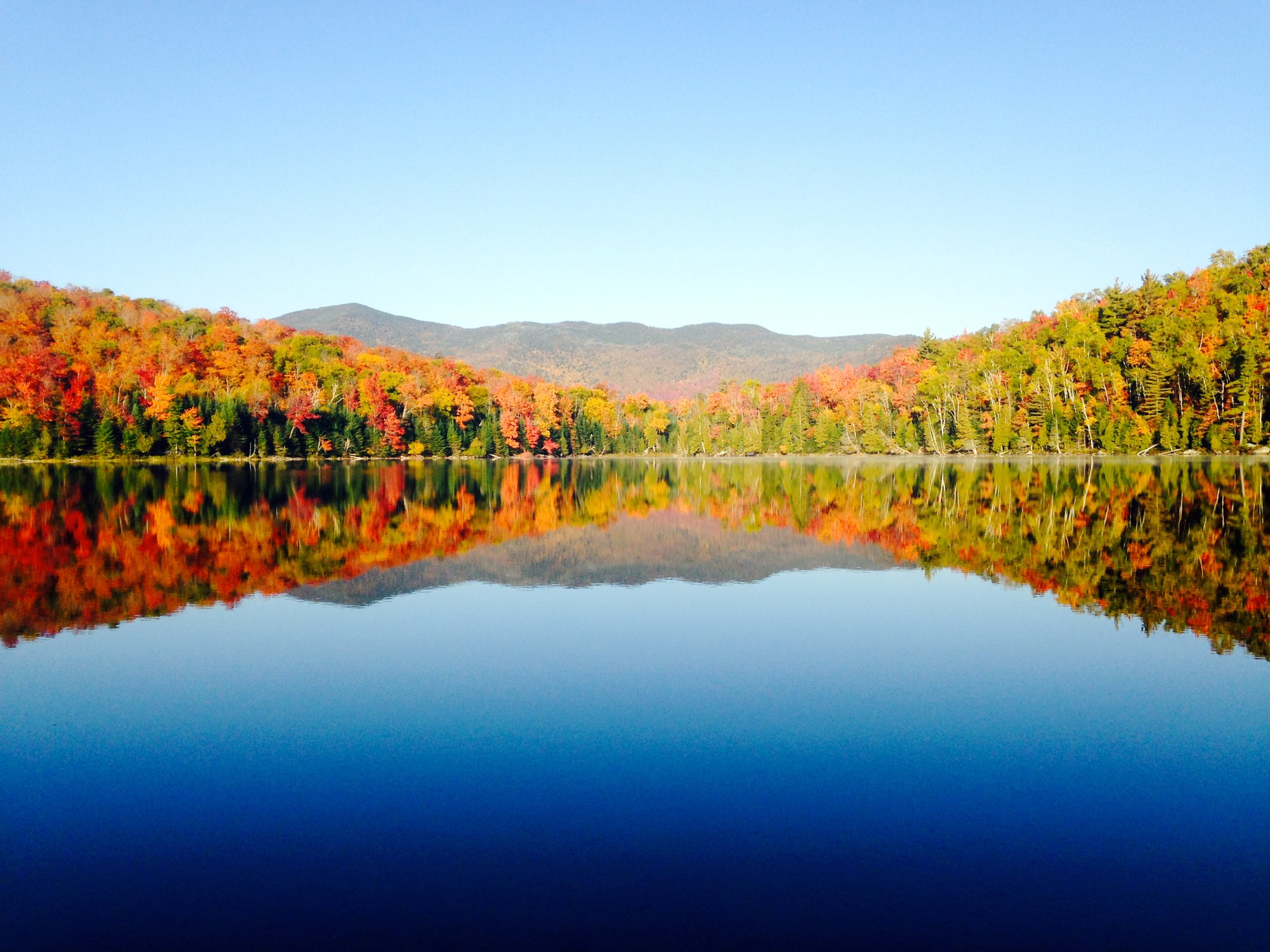 How Many Trees Are There In The World? Scientists Have A New Estimate