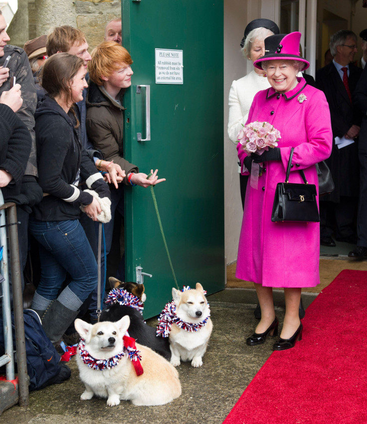 queen elizabeth corgi