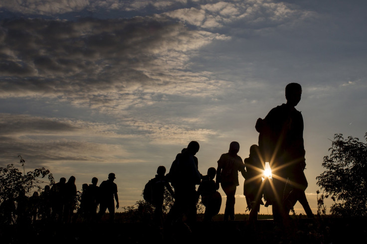 hungary migrant