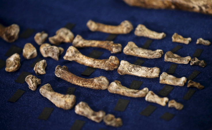 homo naledi (3)