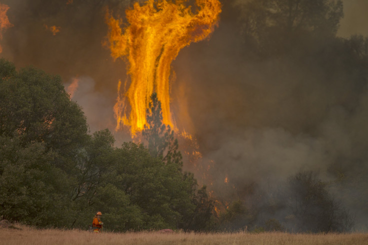 California wildfire