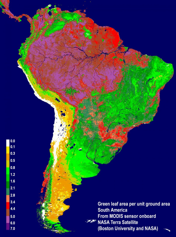 NASA Amazon Rainforest Study