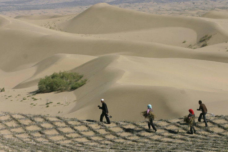 desertification