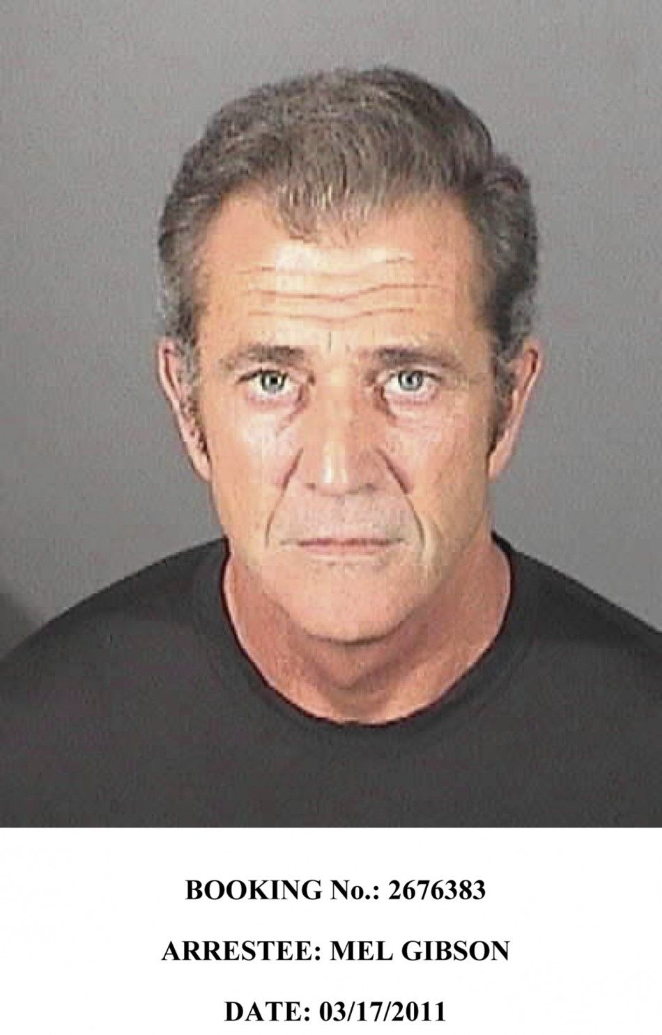 Handout of Mel Gibson in a booking photo from the El Segundo police department