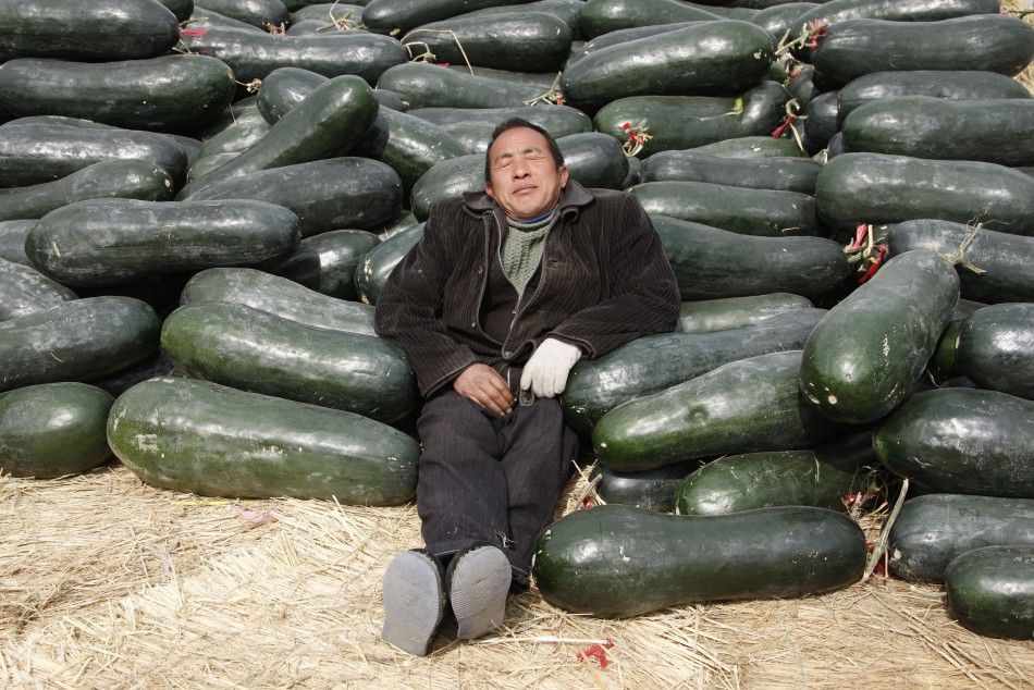 A vendor selling Chinese watermelons takes a nap at a wholesale market in Huaibei