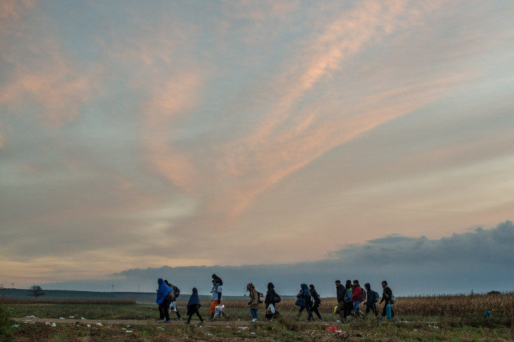 austria refugee