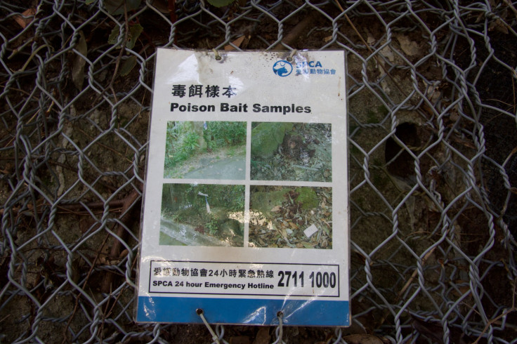 Hong Kong dog poisonings