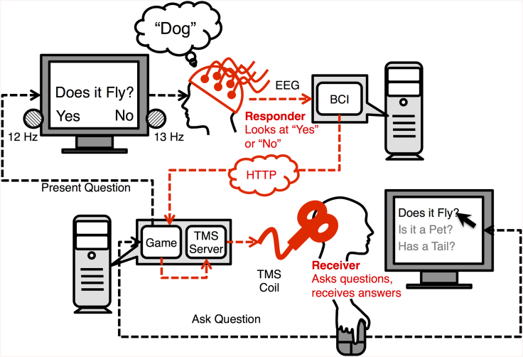 brain to brain interface