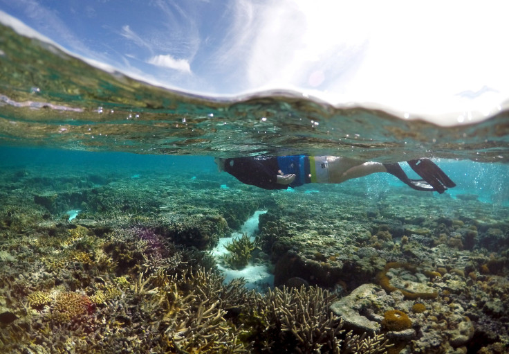 BarrierReef