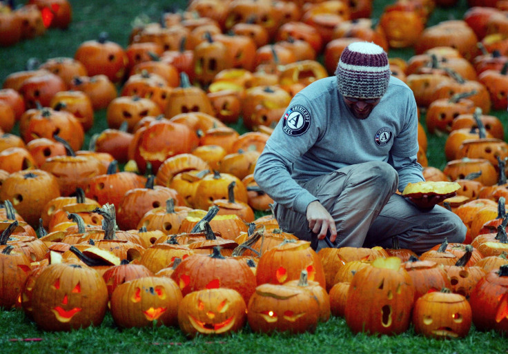 boston pumpkins