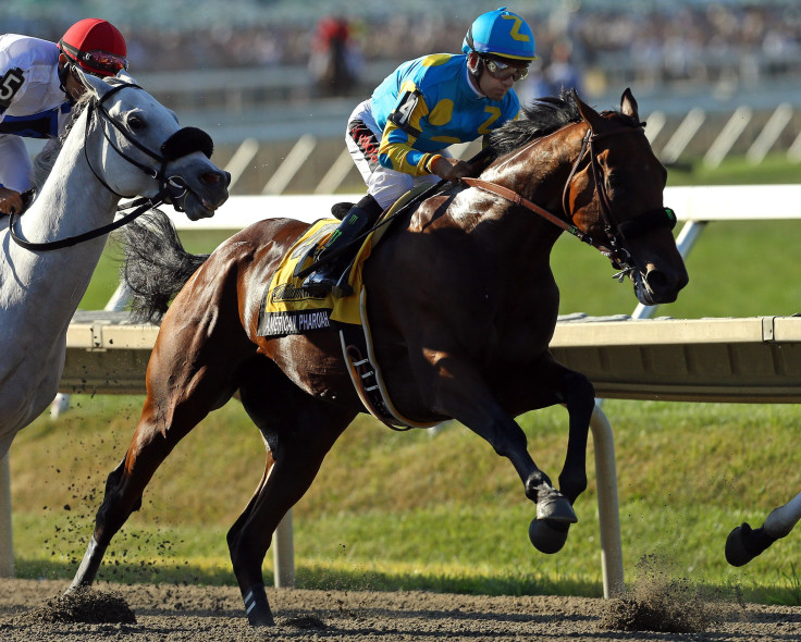 American Pharoah 2015