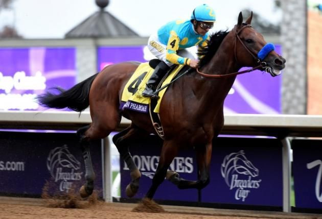 american pharoah