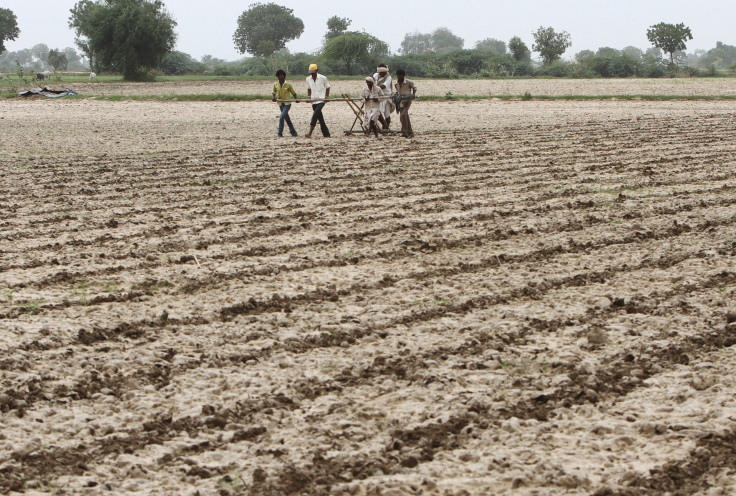 Cotton farmers in India