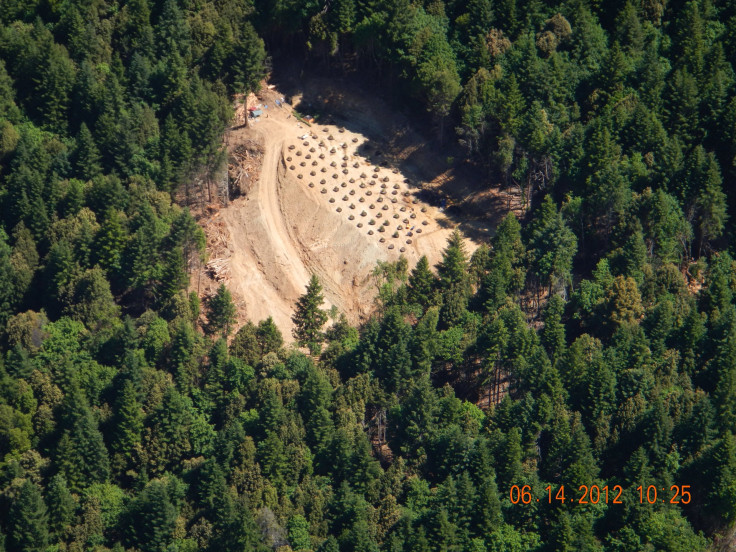 Aerial of marijuana grow